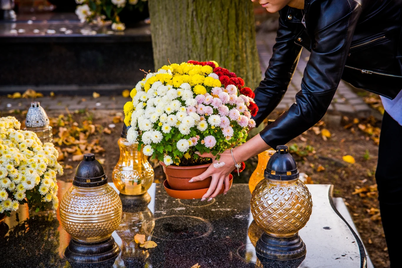 Jakie kwiaty na cmentarz? Najczęstszym wyborem są popularne chryzantemy. Jakie kwiaty na cmentarz? Najczęstszym wyborem są popularne chryzantemy.