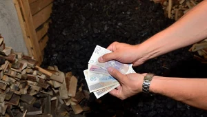 Ile kosztuje tona węgla w sezonie 2024/2025? Ceny i prognozy