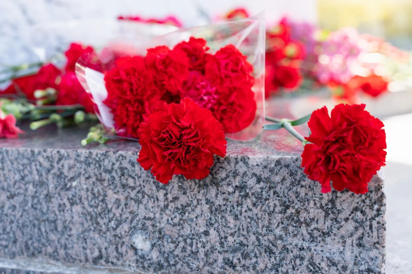 Żywe kwiaty wyjątkowo przyozdabiają nagrobek. Oprócz chryzantem warto zdecydować się na goździki czy astry. Żywe kwiaty wyjątkowo przyozdabiają nagrobek. Oprócz chryzantem warto zdecydować się na goździki czy astry.