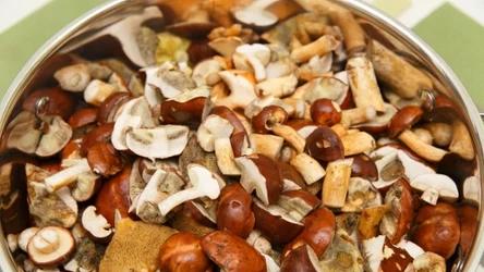 Ile gotować grzyby? To zależy od ich rodzaju.