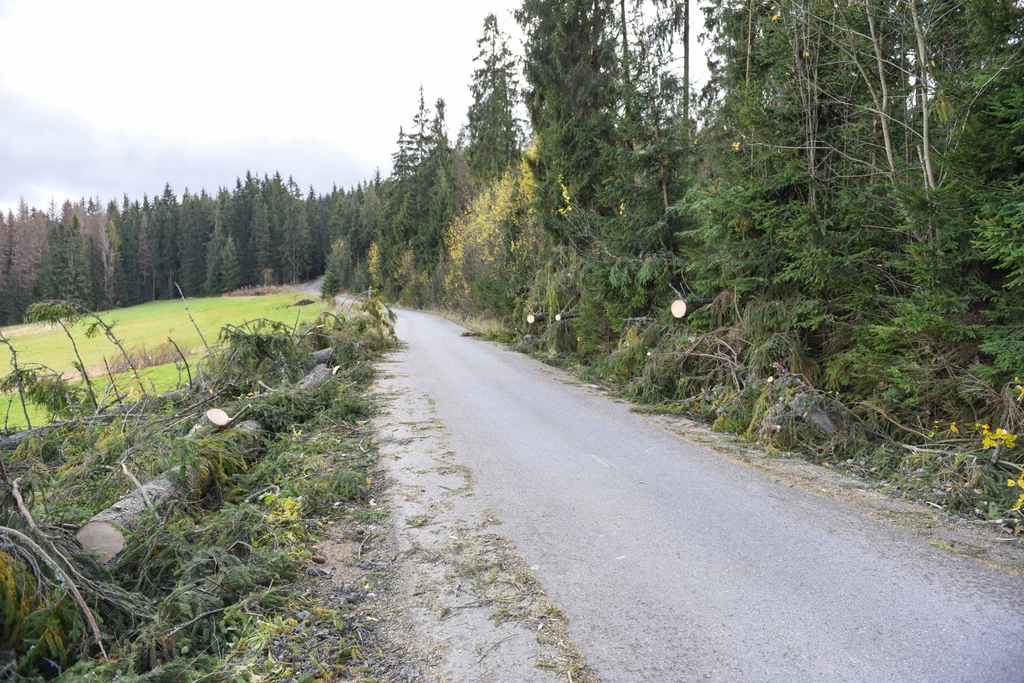 Widok w Zakopanem po przejściu halnego 