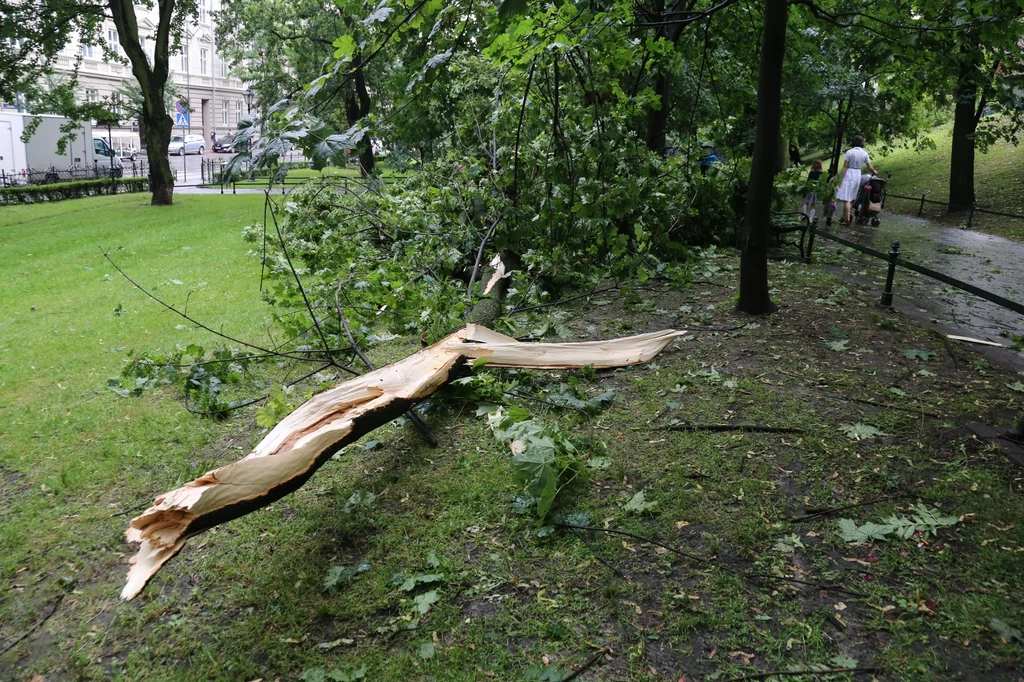 Siłę halnego czuć nie tylko w Zakopanem, ale i w Krakowie