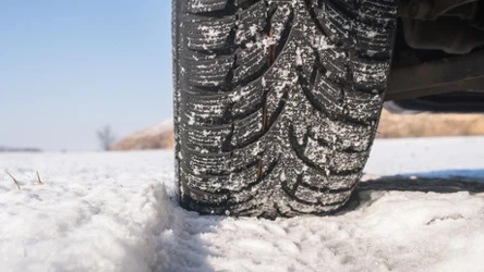 Meteorolodzy podali, kiedy w Polsce spadnie pierwszy śnieg.