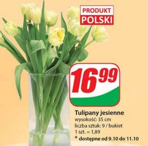 Bukiet tulipanów Tulipany niska cena