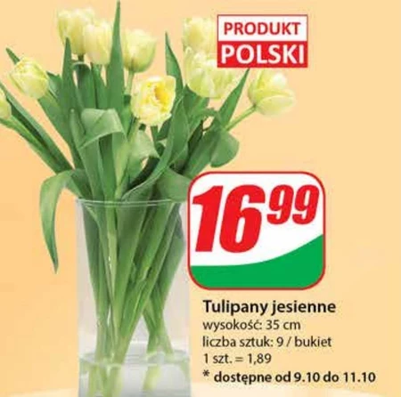 Bukiet tulipanów Tulipany