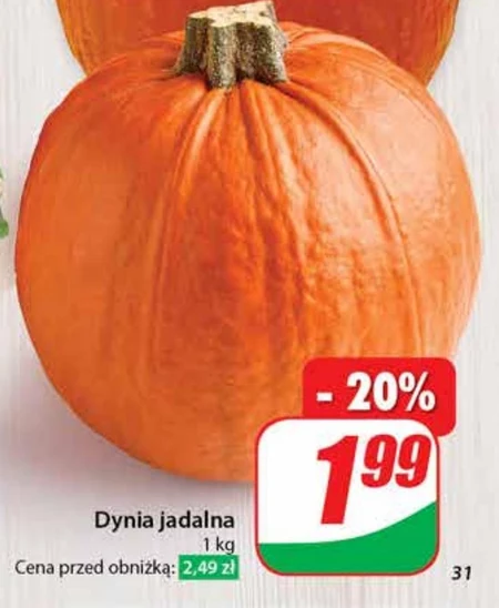 Dynia