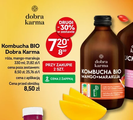 Kombucha Dobra Karma