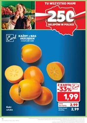 250 sklepów, 250 powodów do zakupów! - Kaufland