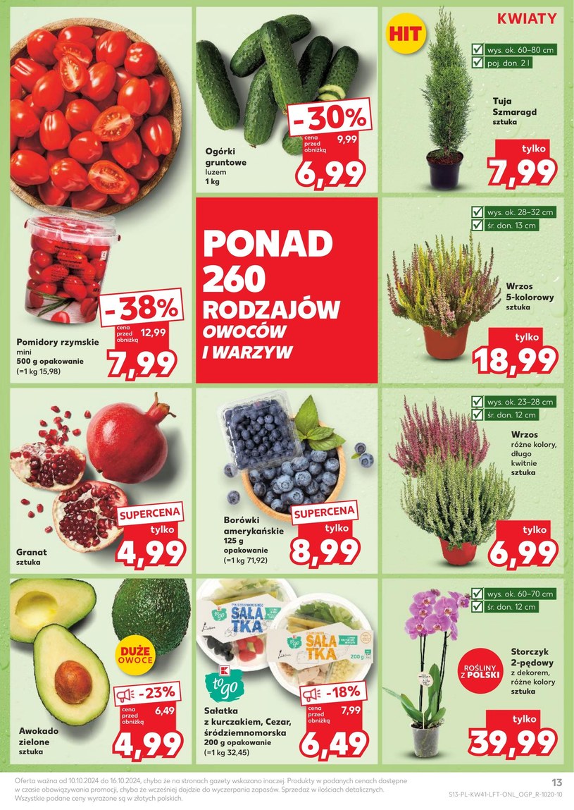 Gazetka: 250 sklepów, 250 powodów do zakupów! - Kaufland - strona 13