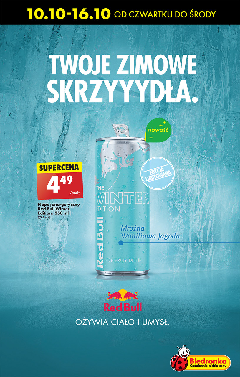 Gazetka: Super ceny w Biedronce - strona 49