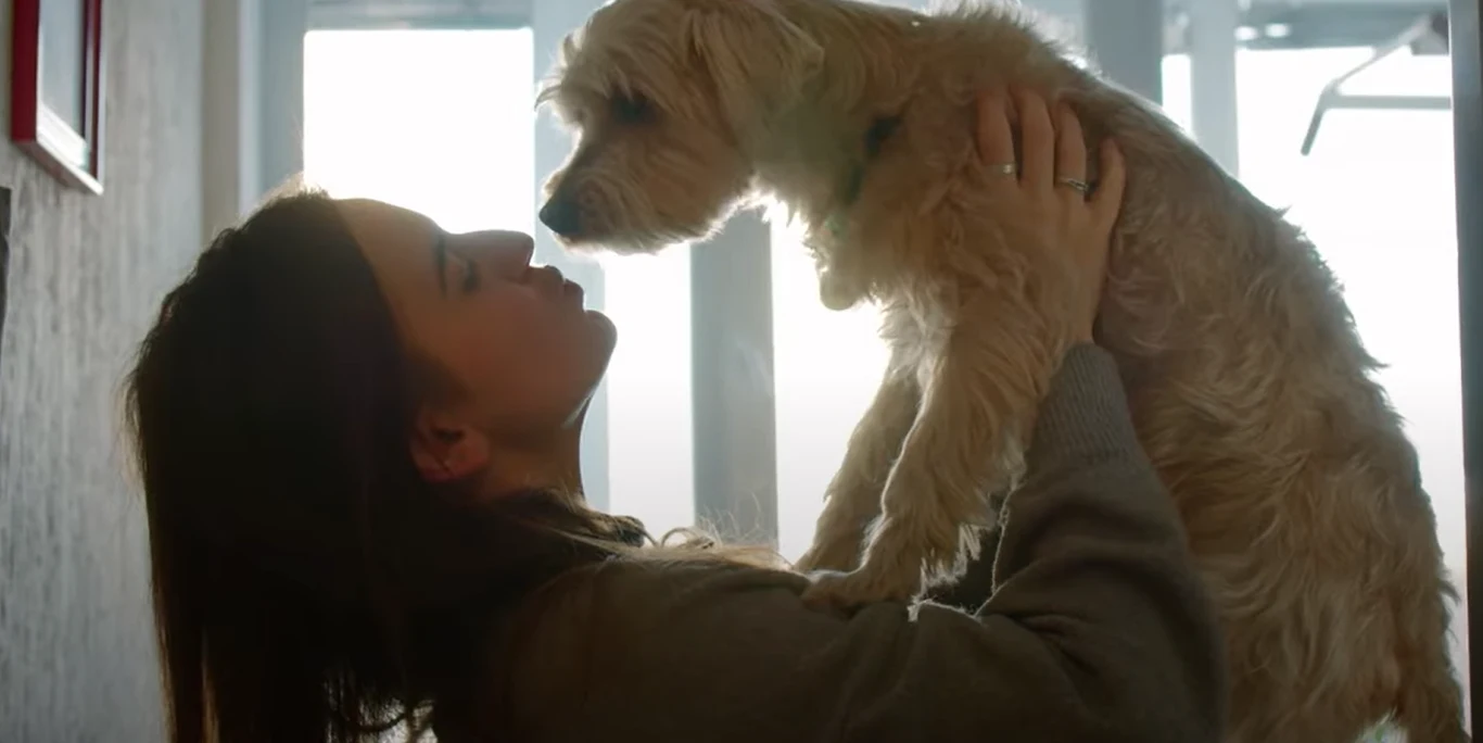 Kadr z filmu "My, nasze zwierzęta i wojna" (screen ze zwiastuna)