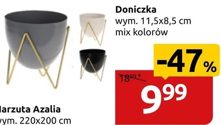 Doniczka