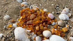 Na tej polskiej plaży znajdziesz najwięcej bursztynów. Turyści wynoszą pełne kieszenie 