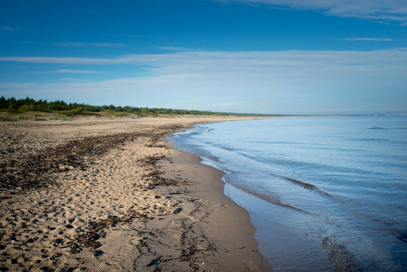 Plaża na Wyspie Sobieszewskiej to najlepsze miejsce to szukania bursztynów nad Morzem Bałtyckim. 
