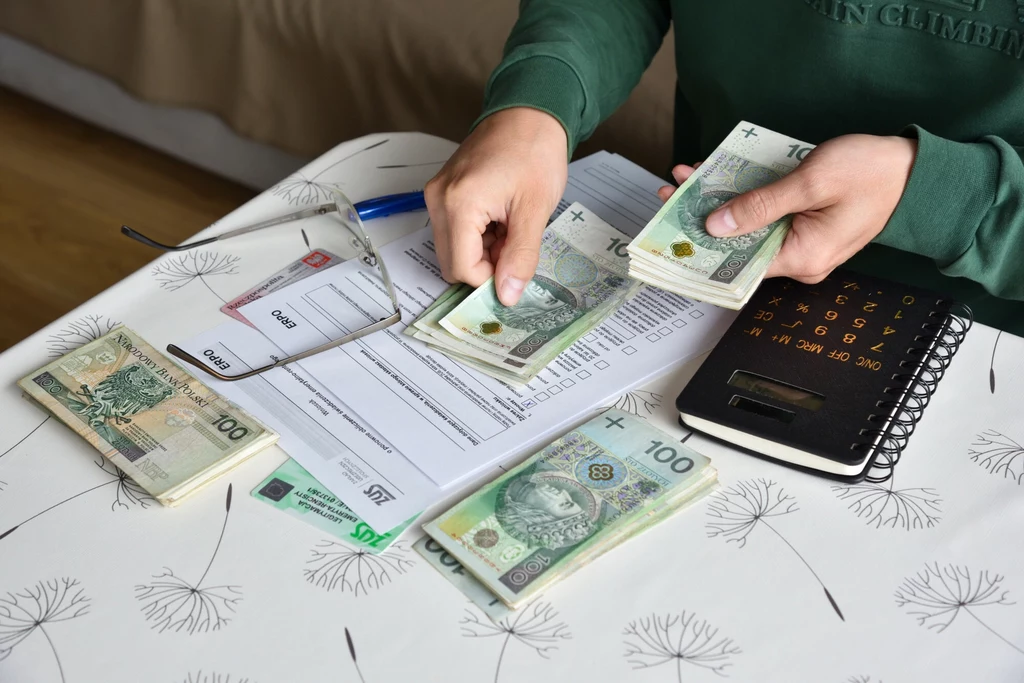 Na jakie wsparcie finansowe mogą liczyć rodzice? Nie tylko 800 plus.