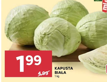 Kapusta biała