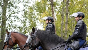 Zakończyła się atestacja policyjnych koni służbowych