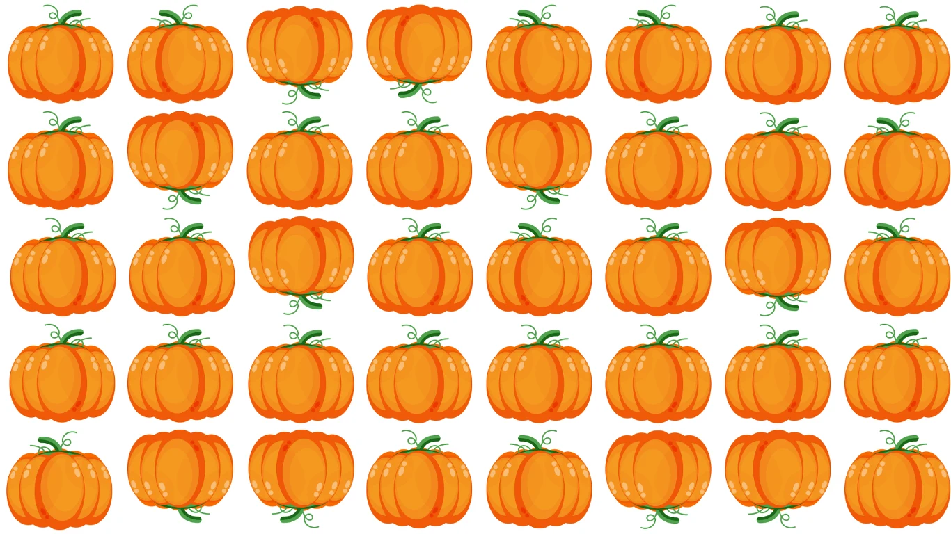 Jesienna zagadka z dyniami. Tylko dla najbardziej spostrzegawczych Jesienna zagadka z dyniami. Tylko dla najbardziej spostrzegawczych