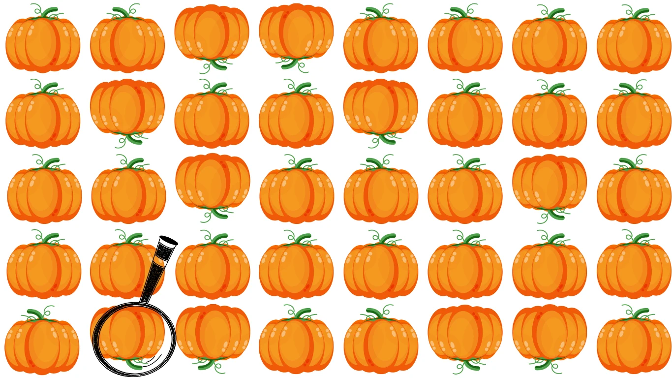 Zagadka na spostrzegawczość z dyniami — rozwiązanie Zagadka na spostrzegawczość z dyniami — rozwiązanie