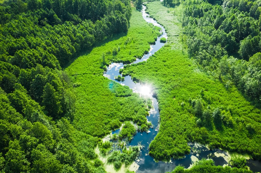 Zostało nam już tylko 27 proc. żyjącej planety - alarmuje WWF