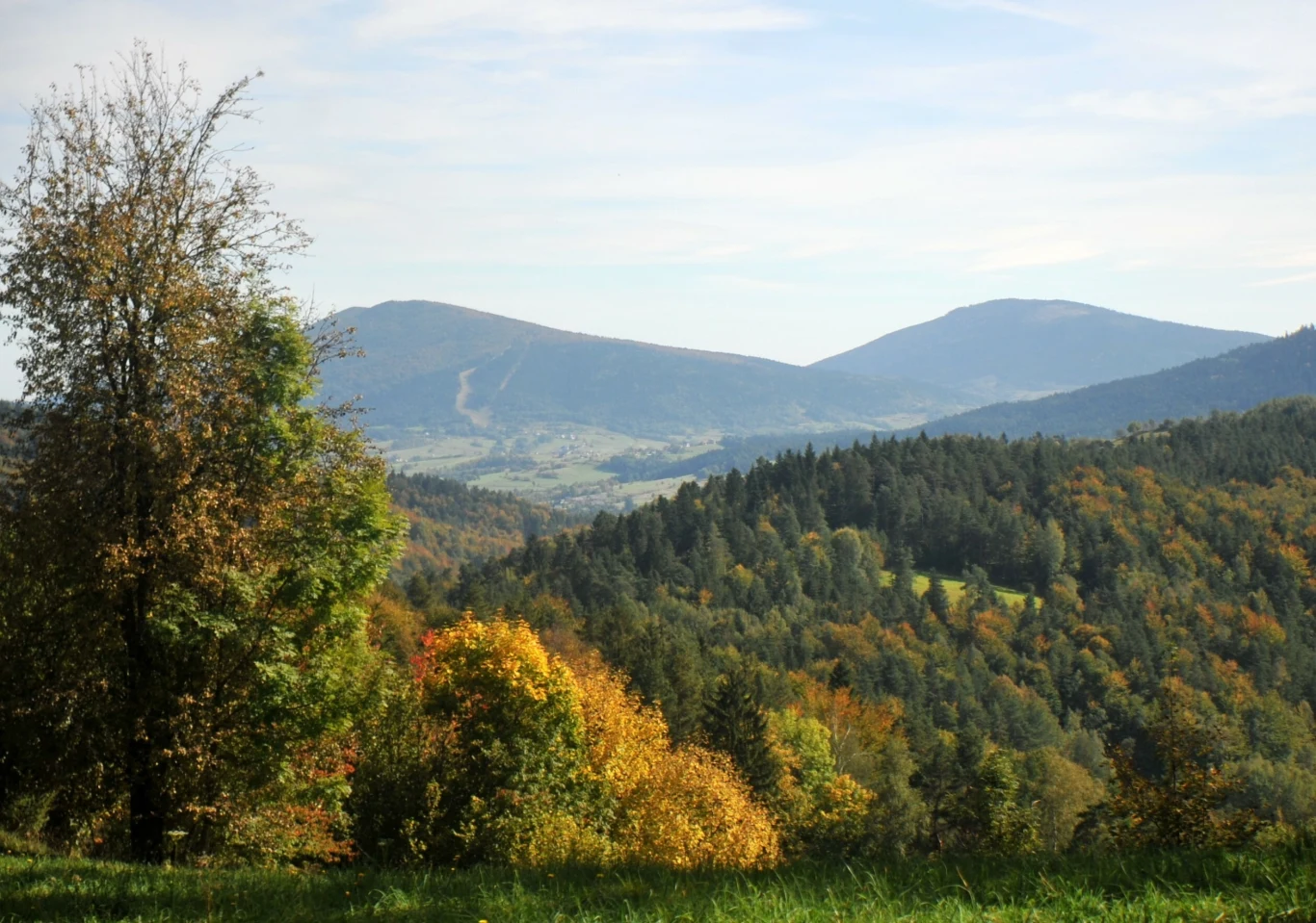 Wieś Szczawa jest malowniczo zlokalizowana. Stanowi dobrą bazę wypadową między innymi na Mogielicę.