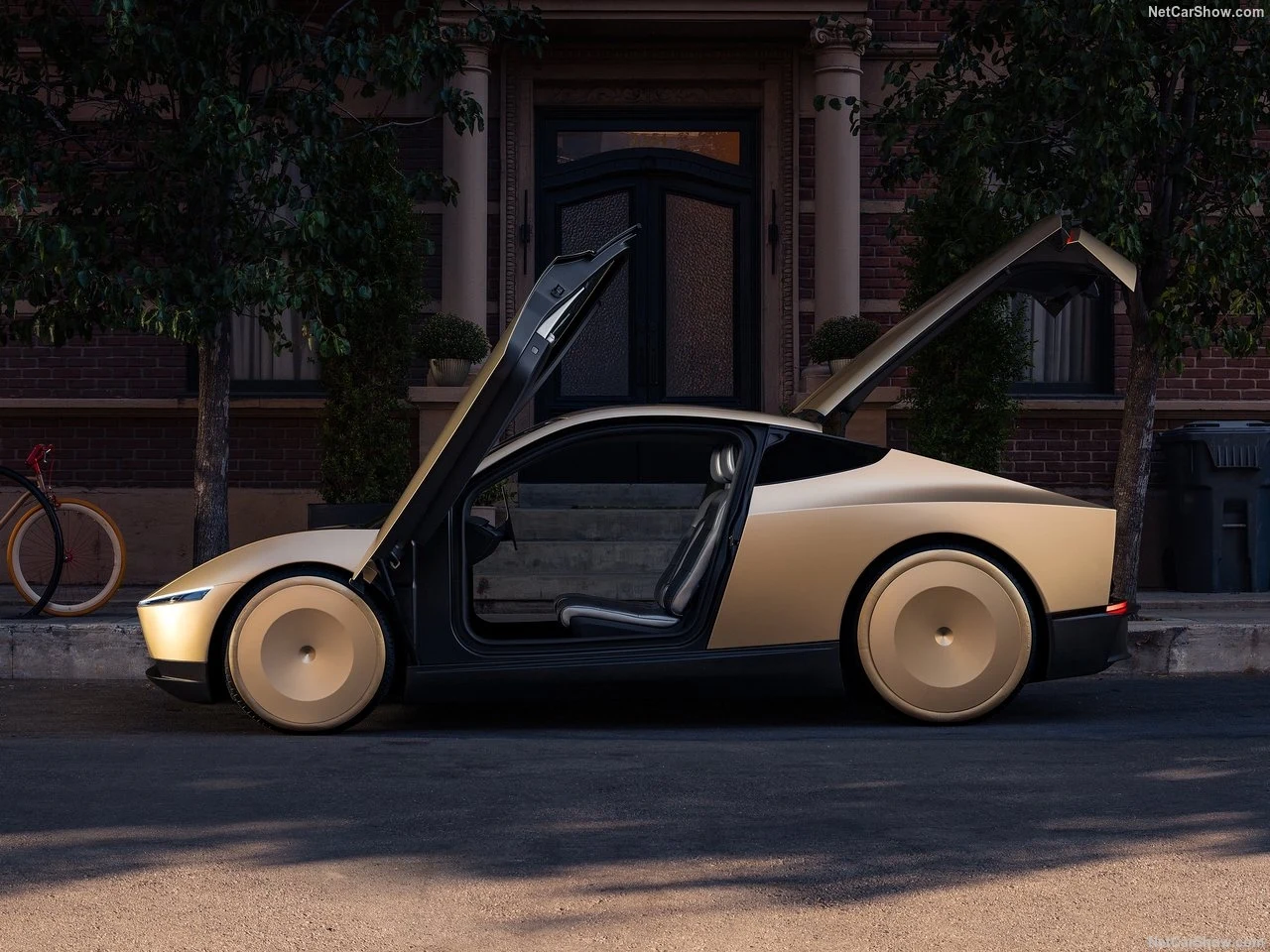 Tesla Robocab