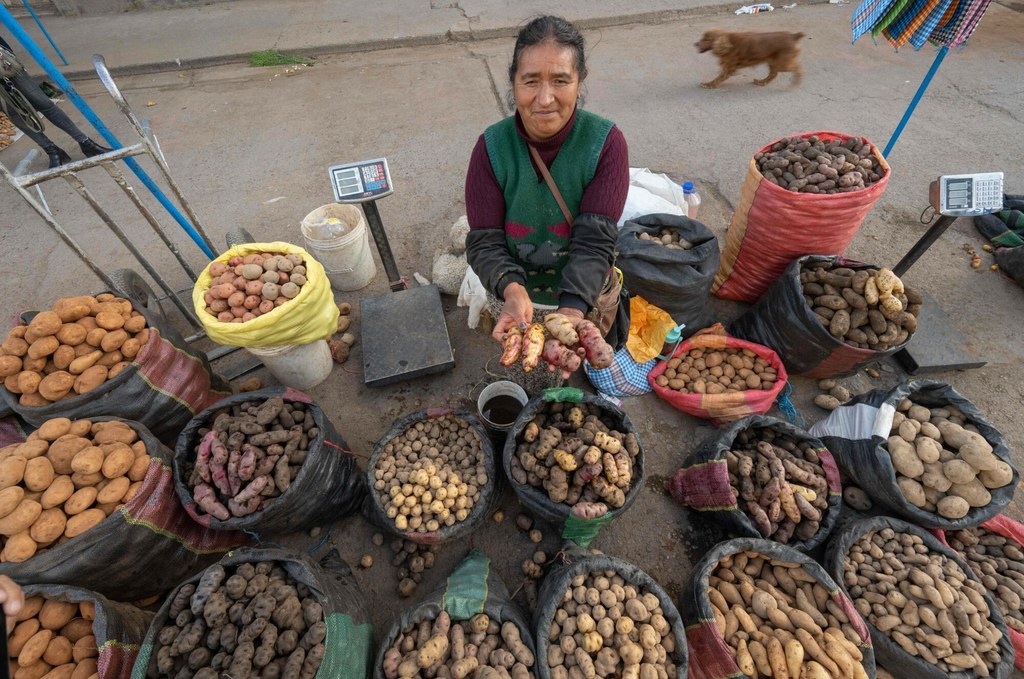 Indianka w Jauja w Peru sprzedaje ziemniaki