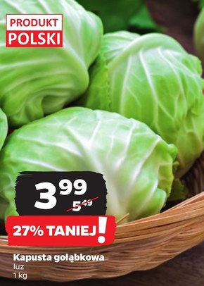 Kapusta Polski niska cena