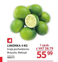 Limonka