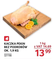 Kaczka Ok.