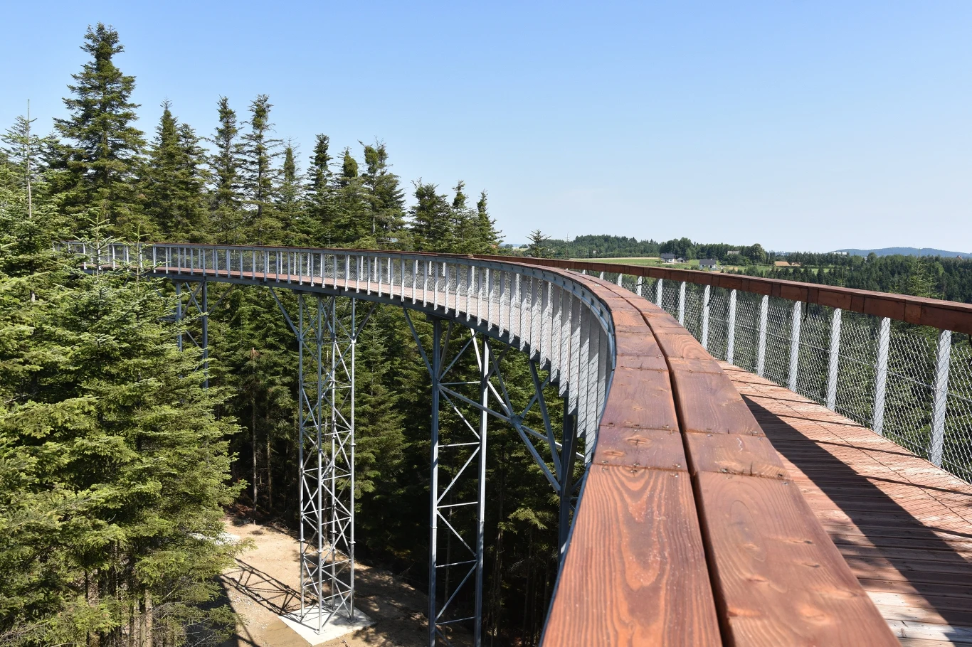 Ścieżka w Koronach Drzew w Ciężkowicach to turystyczny hit tego regionu. To także doskonały cel na jesienny wypad.