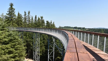 Ścieżka w Koronach Drzew w Ciężkowicach to turystyczny hit tego regionu. To także doskonały cel na jesienny wypad.