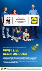 Modne zakupy w niższej cenie – Lidl