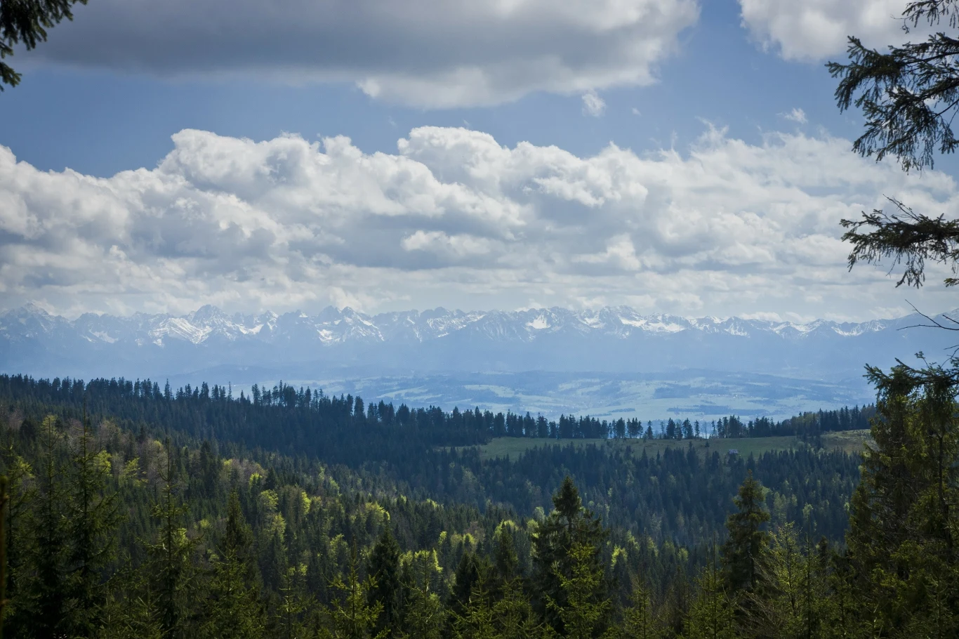 Gorce oferują zachwycające widoki na Tatry. Turbacz to doskonałe miejsce na podziwianie majestatycznej panoramy najwyższych gór Polski. 