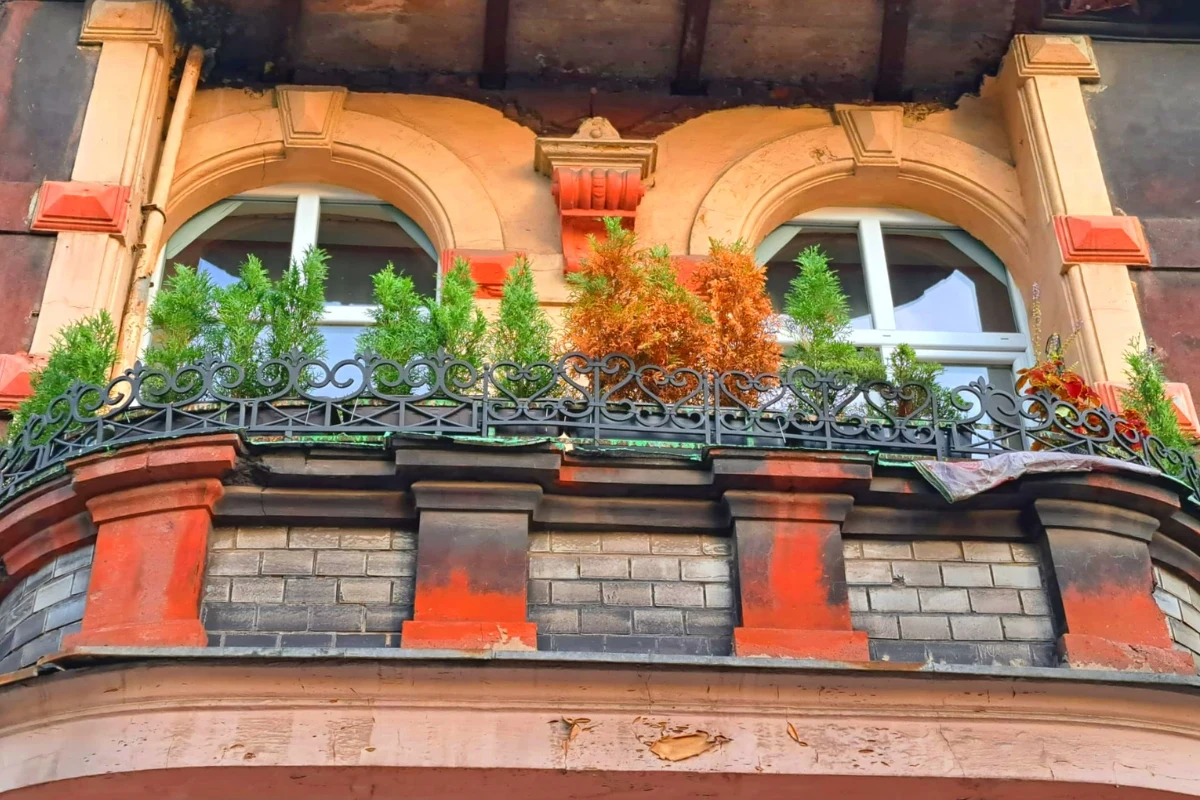 Rośliny na balkonie trzeba zabezpieczyć przed przymrozkami. Inaczej zmarnieją Rośliny na balkonie trzeba zabezpieczyć przed przymrozkami. Inaczej zmarnieją