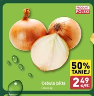 Cebula Polski