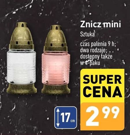 Znicz