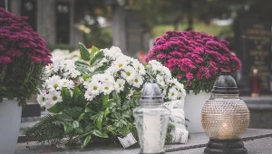 A jeśli nie chryzantemy, to co? Te kwiaty są idealne na wiązanki 