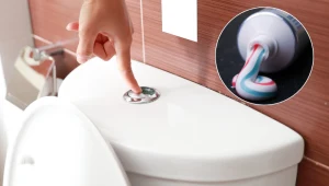 Wrzuć to do zbiornika w toalecie. Będzie pachnieć i razić bielą po oczach