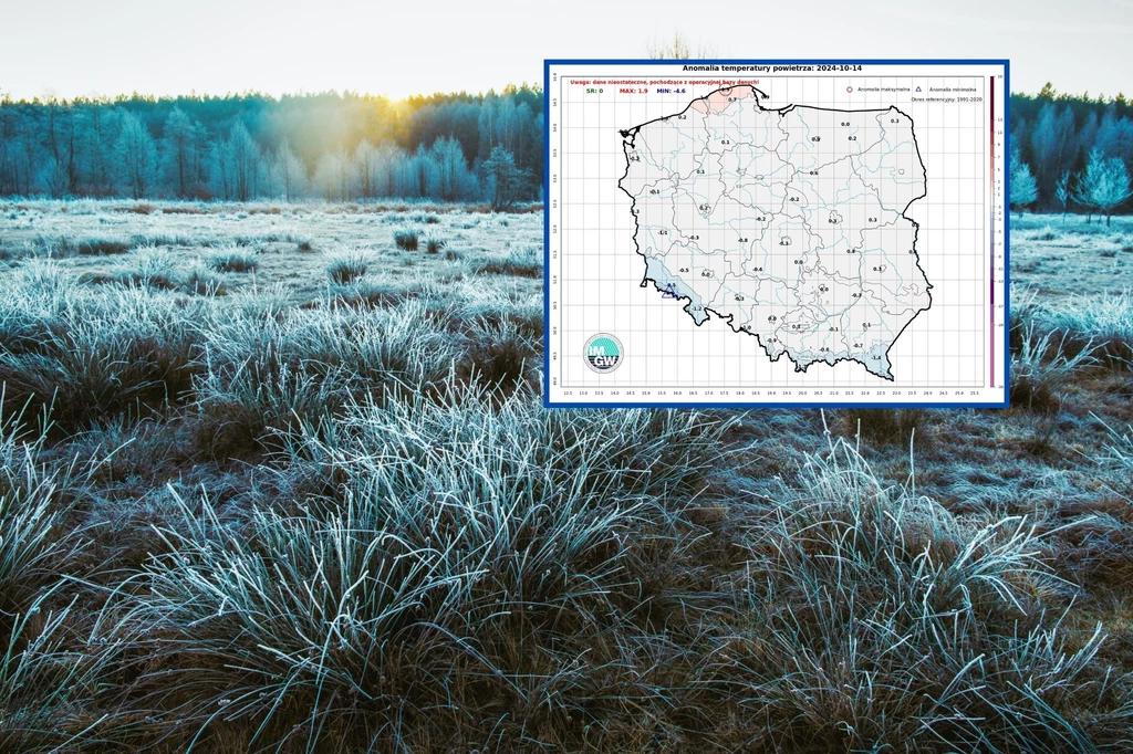 W tym tygodniu musimy się przygotować na prawdziwą serię nocnych i porannych przymrozków. Według prognoz IMGW przy gruncie będzie mróz sięgający nawet -3 st. C