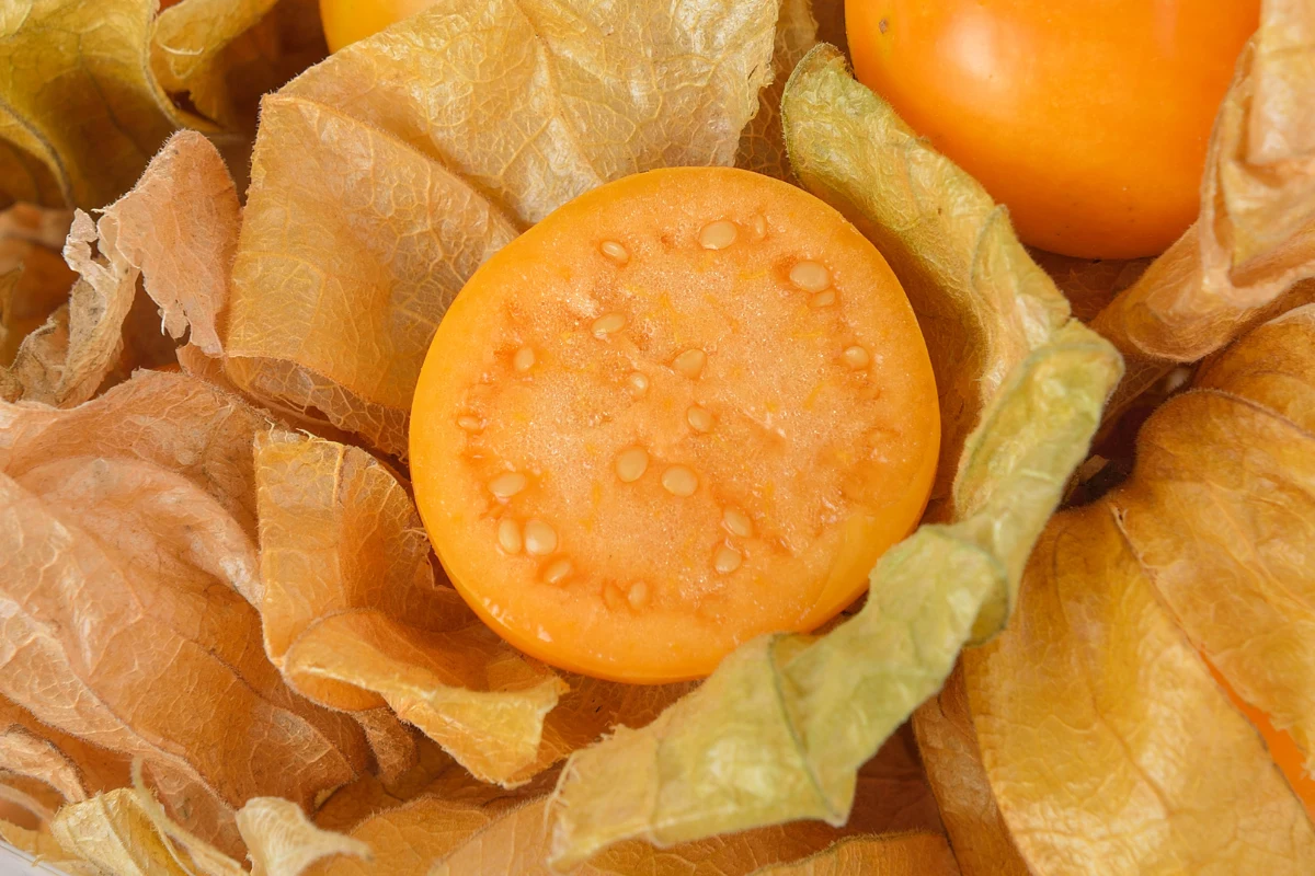 Zawarte w miechunce flawonoidy, w tym kwercetyna, pomagają obniżać poziom "złego" cholesterolu LDL i wspierają układ krążenia. Zawarte w miechunce flawonoidy, w tym kwercetyna, pomagają obniżać poziom "złego" cholesterolu LDL i wspierają układ krążenia.