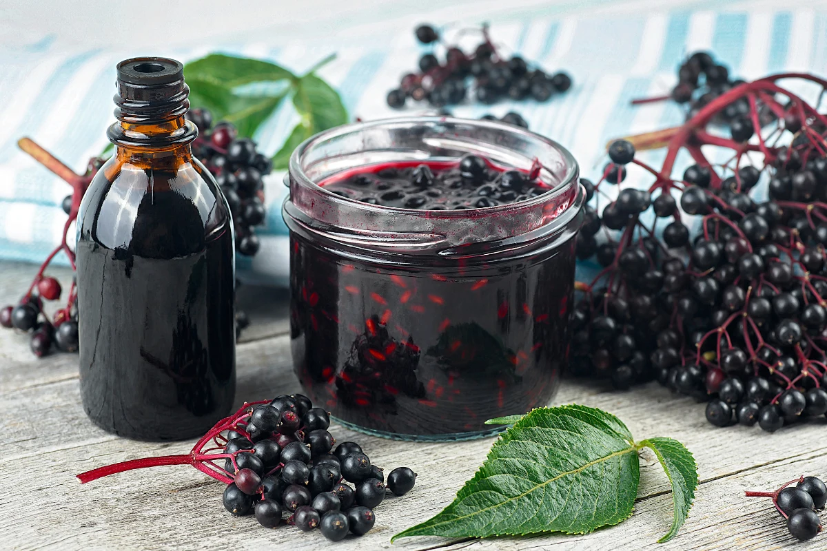 Czarny bez to jeden z bardziej wartościowych produktów, gdy chodzi o wspieranie odporności Czarny bez to jeden z bardziej wartościowych produktów, gdy chodzi o wspieranie odporności