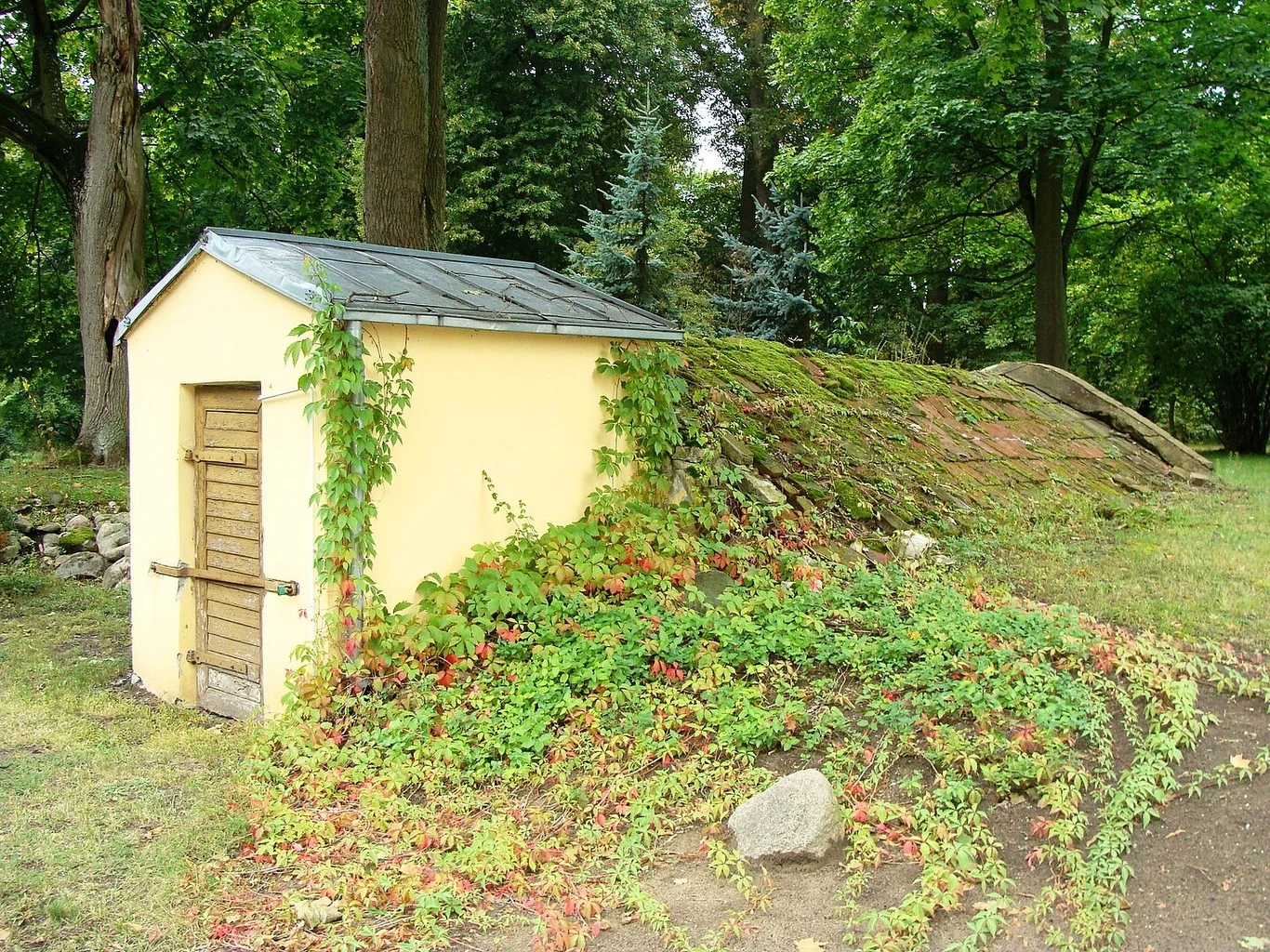 Na świecie zachowały się lodownie z różnych wieków. Tu Lubostroń, piwnica-lodownia z pocz. XX wieku. Na świecie zachowały się lodownie z różnych wieków. Tu Lubostroń, piwnica-lodownia z pocz. XX wieku.