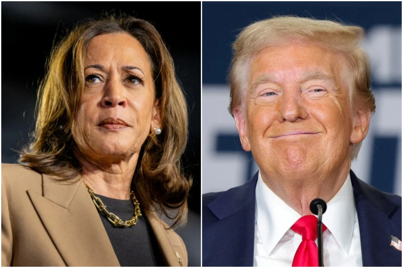 Kamala Harris walczy z Donaldem Trumpem o głosy amerykańskiej Polonii Kamala Harris walczy z Donaldem Trumpem o głosy amerykańskiej Polonii