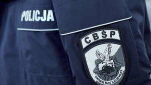 Emblemat Centralnego Biura Śledczego Policji (zdjęcie ilustracyjne)