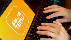 UOKiK oskarża Temu, powodem prezentacja cen i promocje