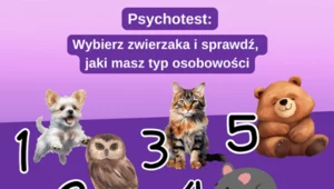 Psychotest: Jaki masz typ osobowości? Wybierz zwierzę i poznaj prawdę 