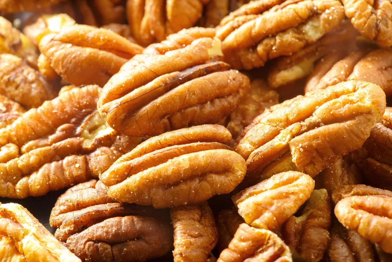 Orzechy pekan obniżają ciśnienie, zbijają cholesterol, wspomagają pamięć i przyspieszają przemianę materii