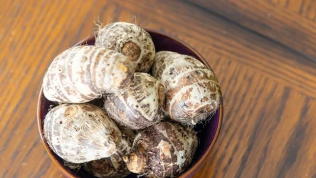 Taro zwane kolokazją jadalną.