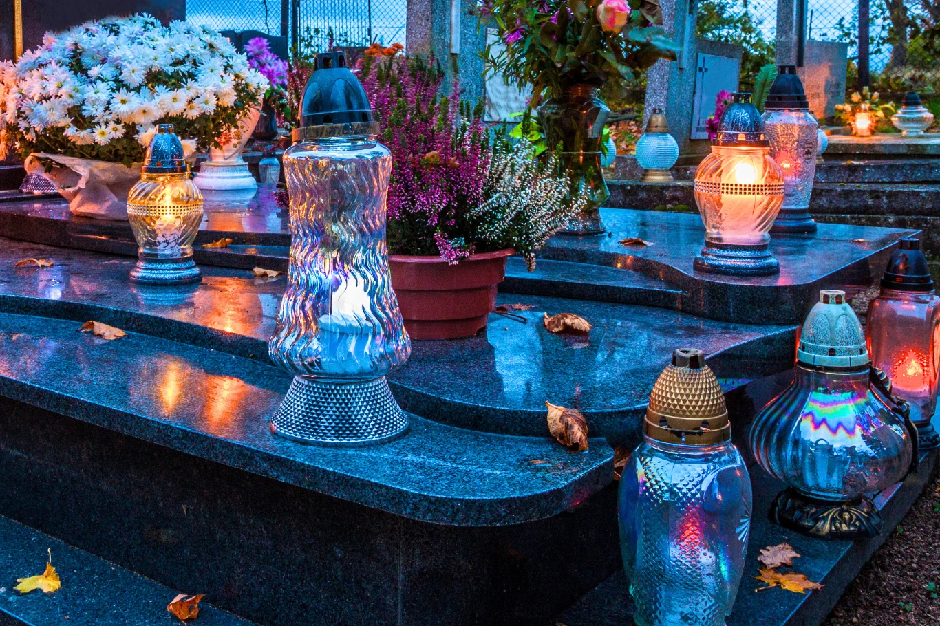 Jakie kwiaty na cmentarz? Zamiast chryzantem i ciętych kwiatów, postaw na wrzosy bądź wrzośce. Będą kwitły przez wiele tygodni.